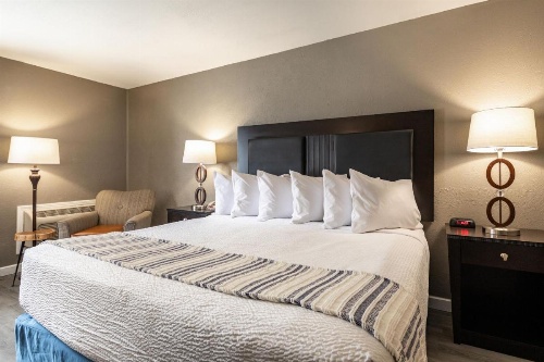 THE BRANSINN Entertainment District image 14